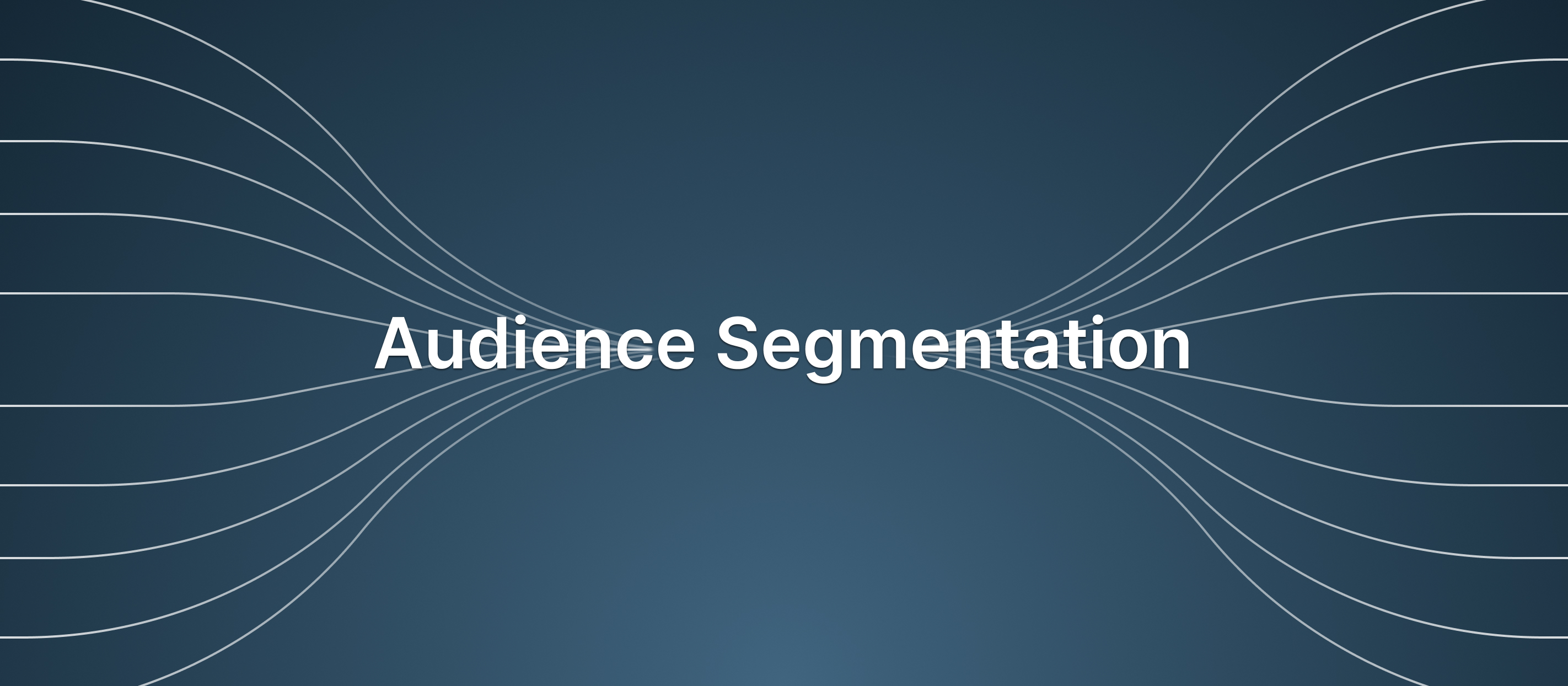 Audience Segmentation