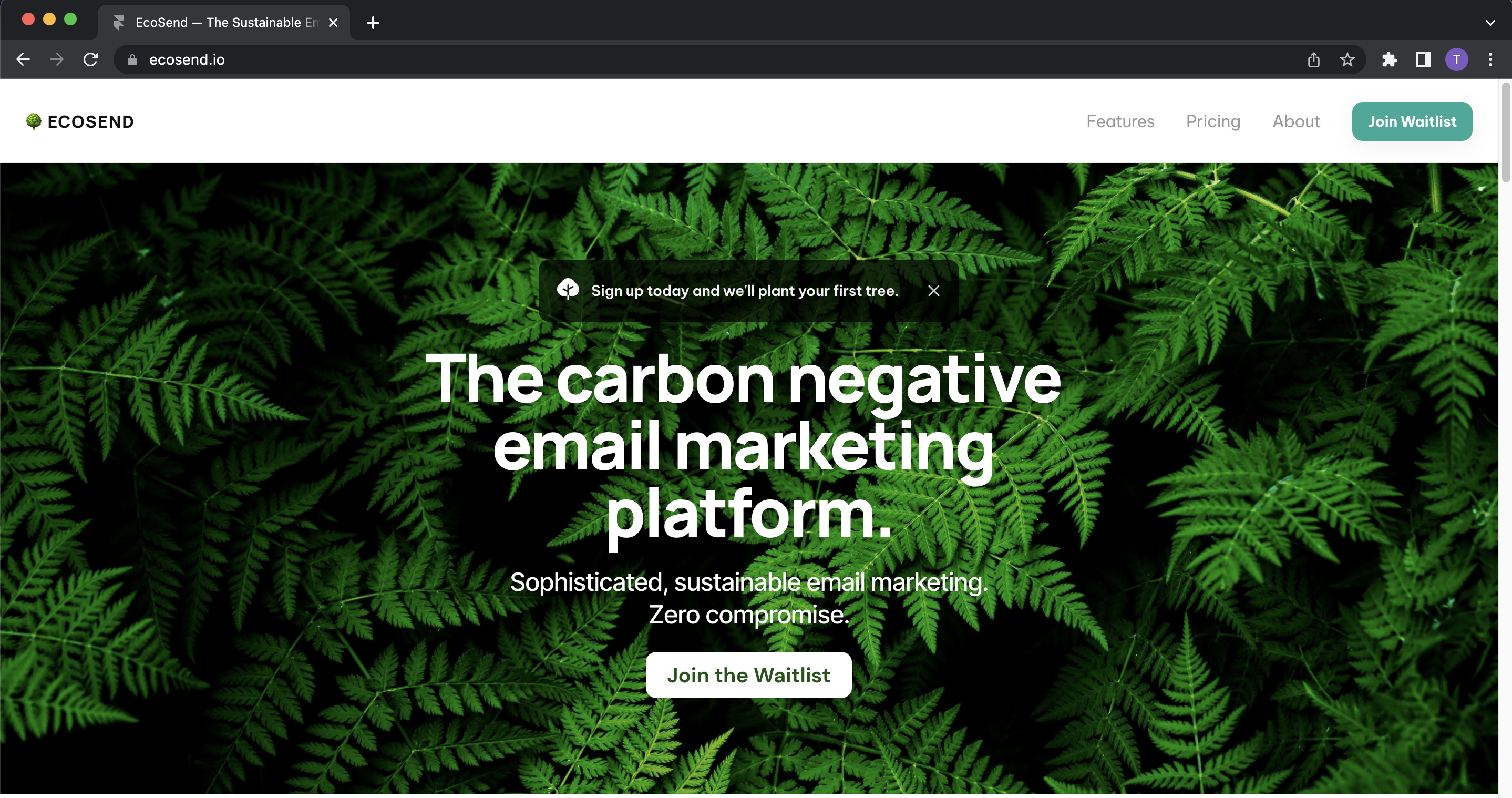 EcoSend carbon negative sustainable email marketing platform