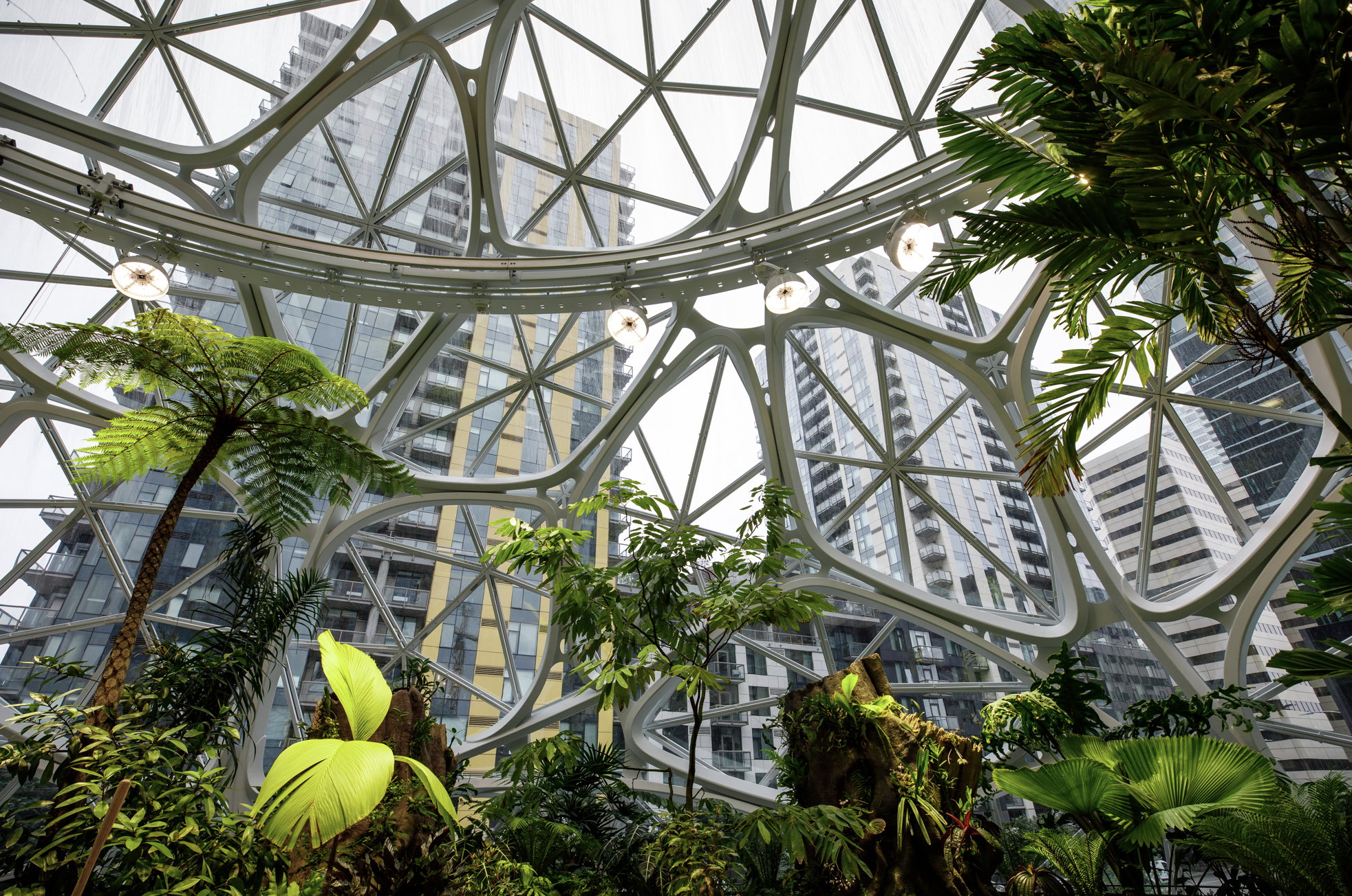 Amazon headquarters Seattle biophilic design