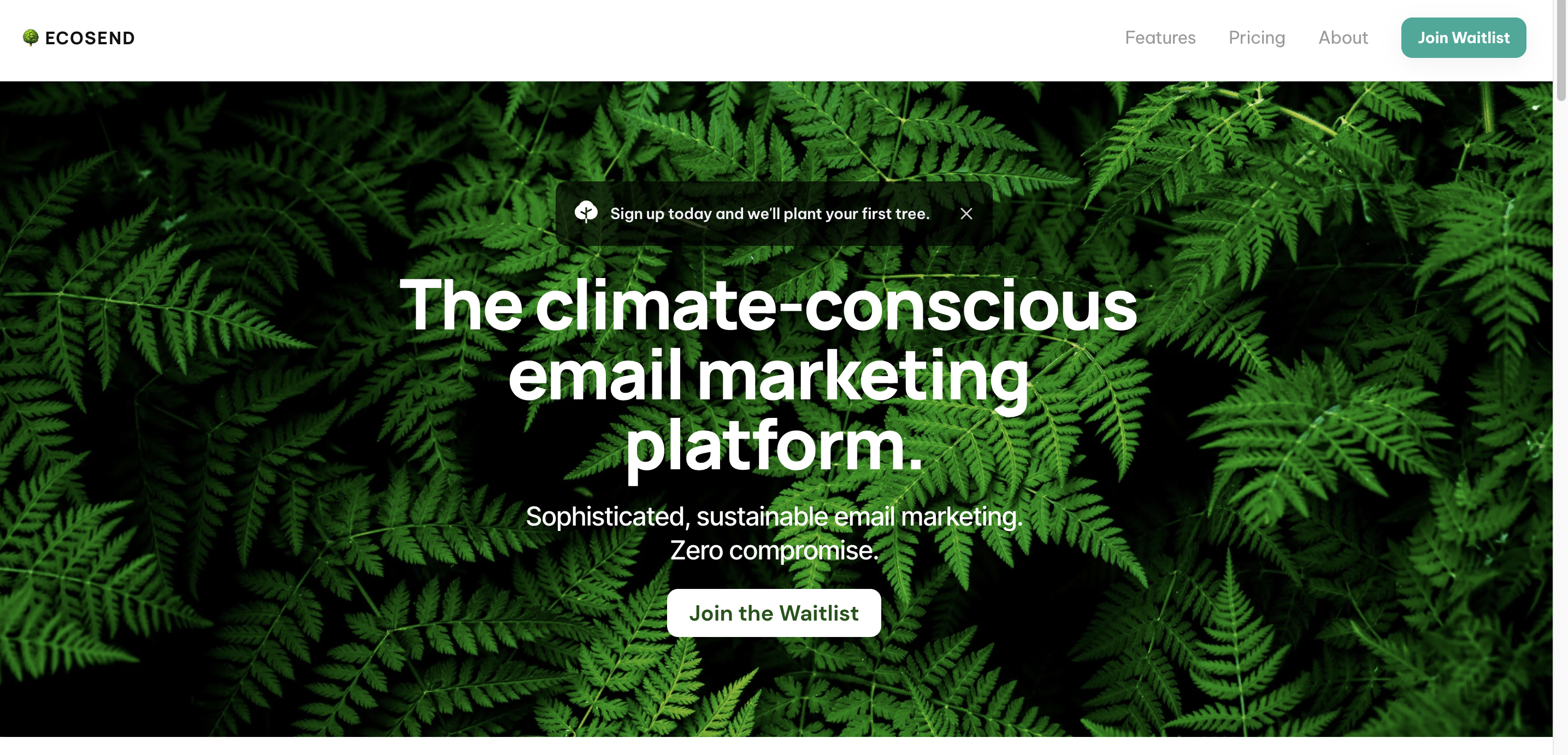 Ecosend email marketing ecofriendly sustainable