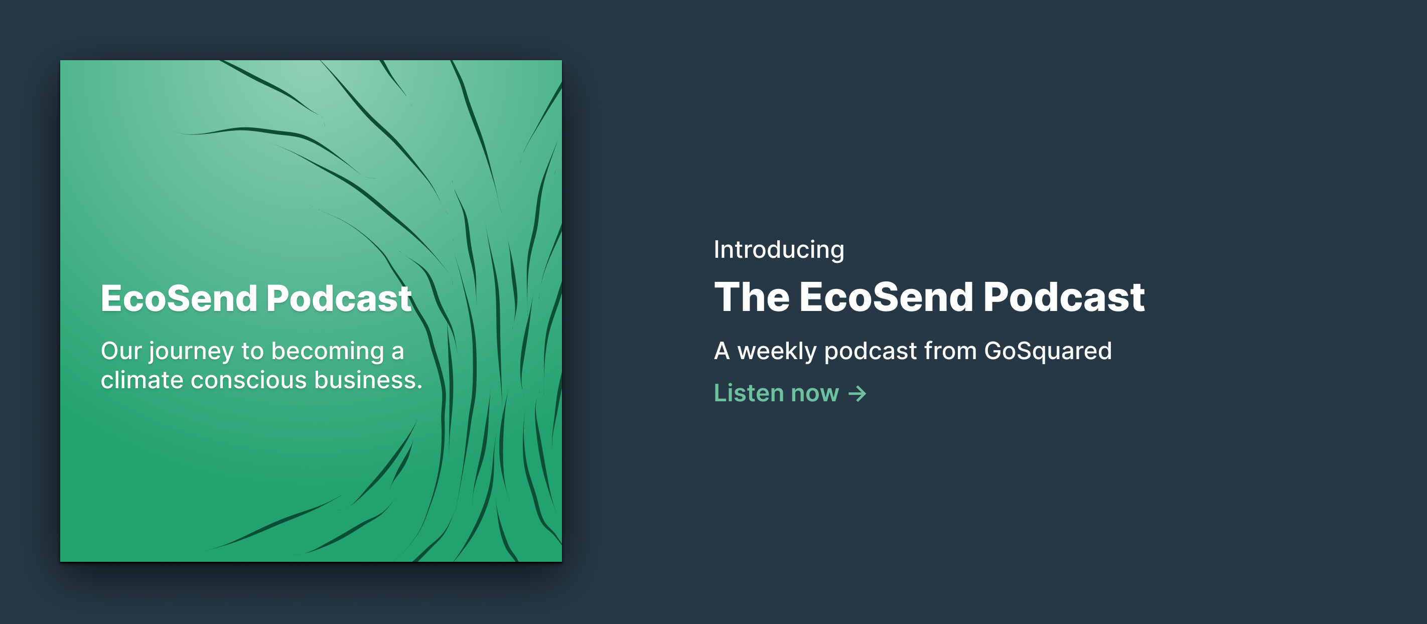 Introducing the EcoSend Podcast